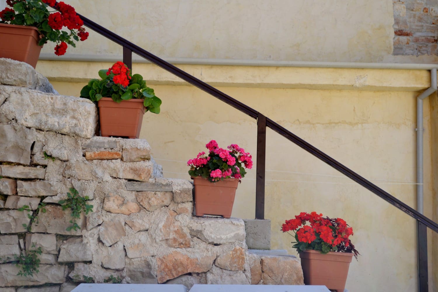 Case di Fasana Case di Fasana