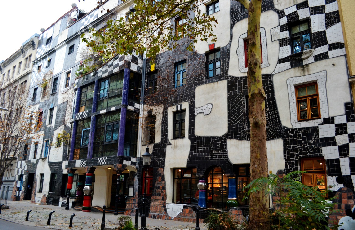 case colorate Vienna case colorate Vienna