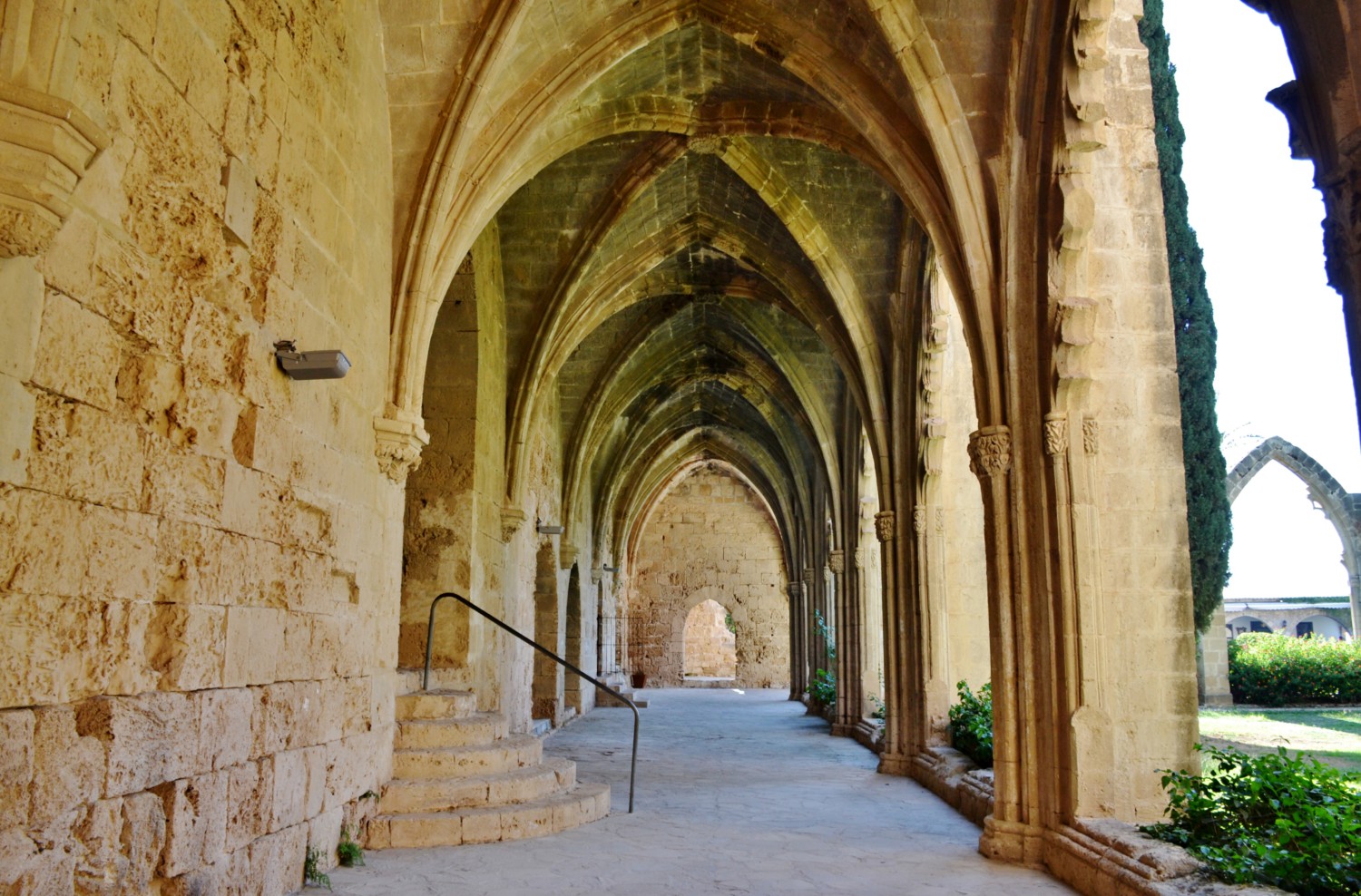 Bellapais cosa sono gli alberi dell'ozio