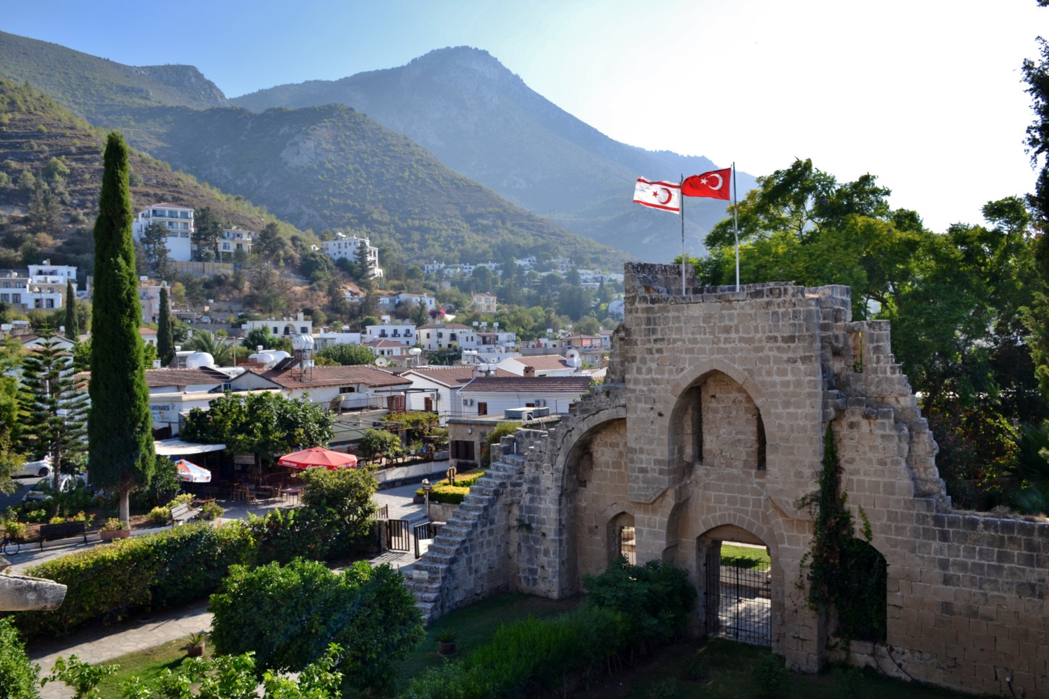 Bellapais cosa sono gli alberi dell'ozio