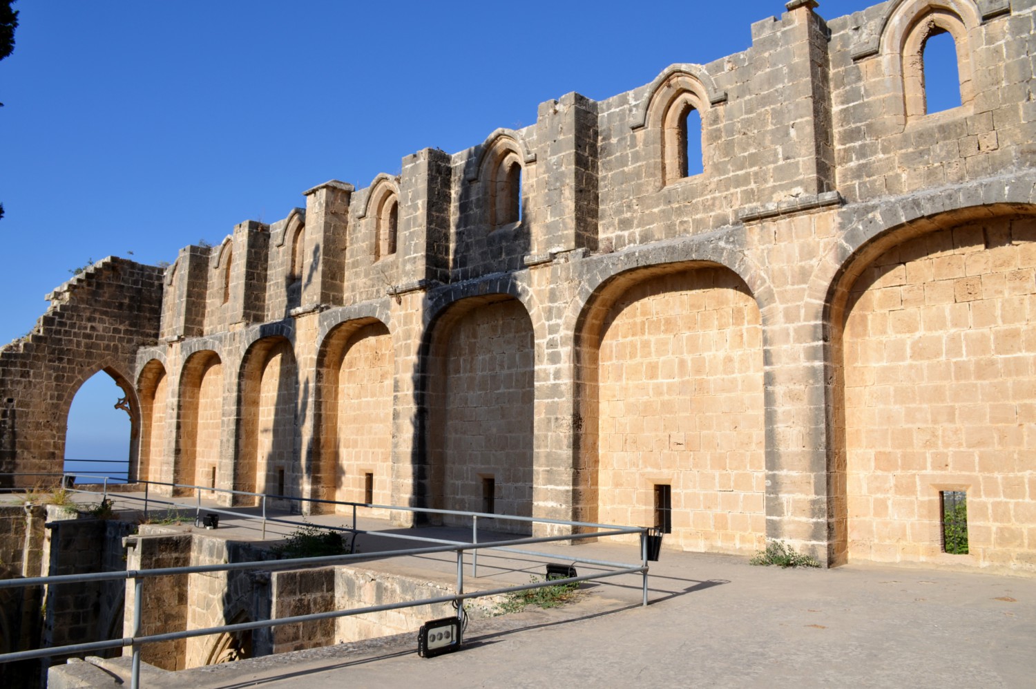 Bellapais cosa sono gli alberi dell'ozio