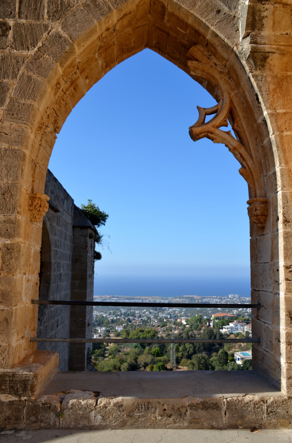 bellapais cosa sono gli alberi dell'ozio