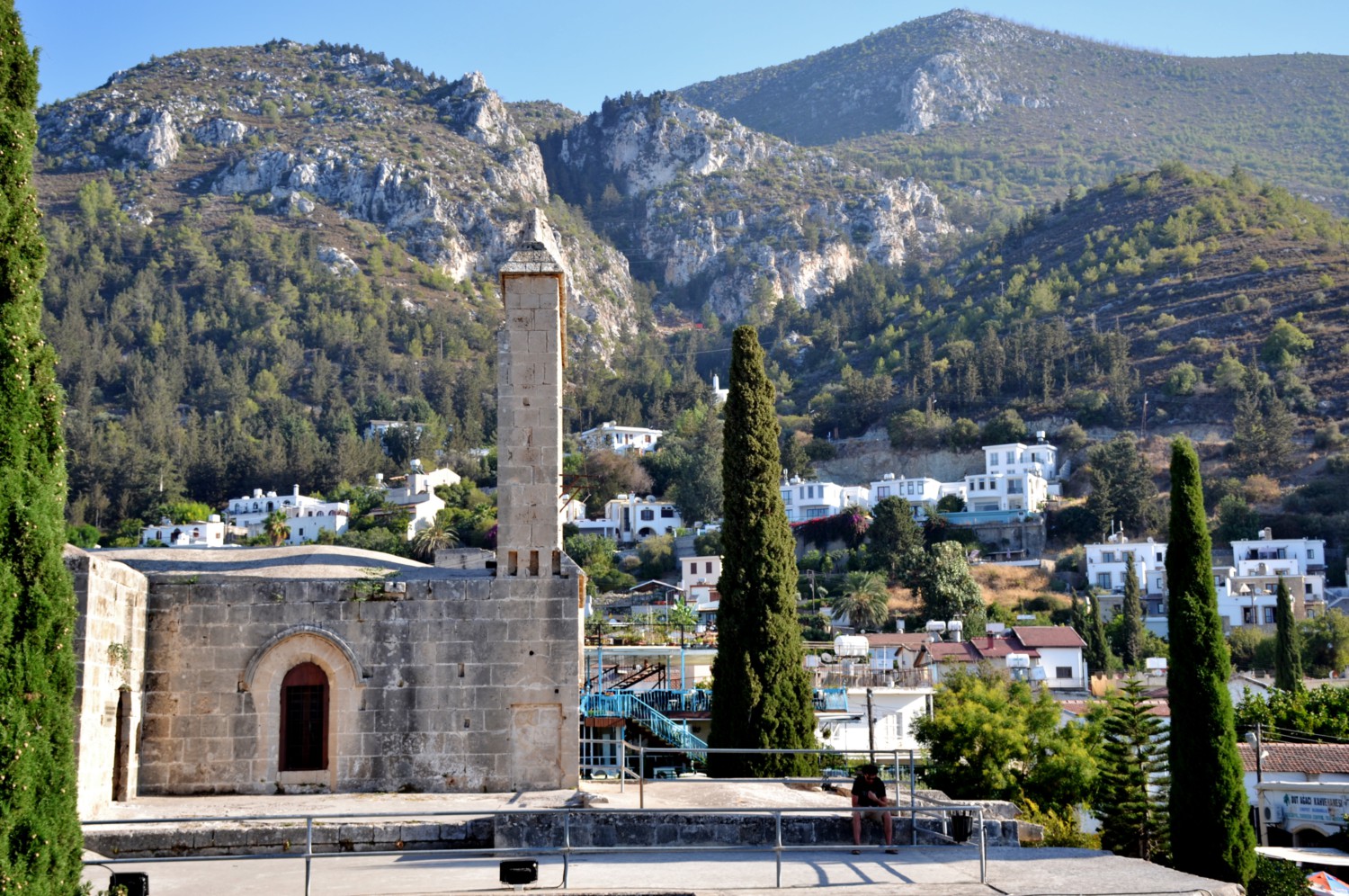 bellapais cosa sono gli alberi dell'ozio