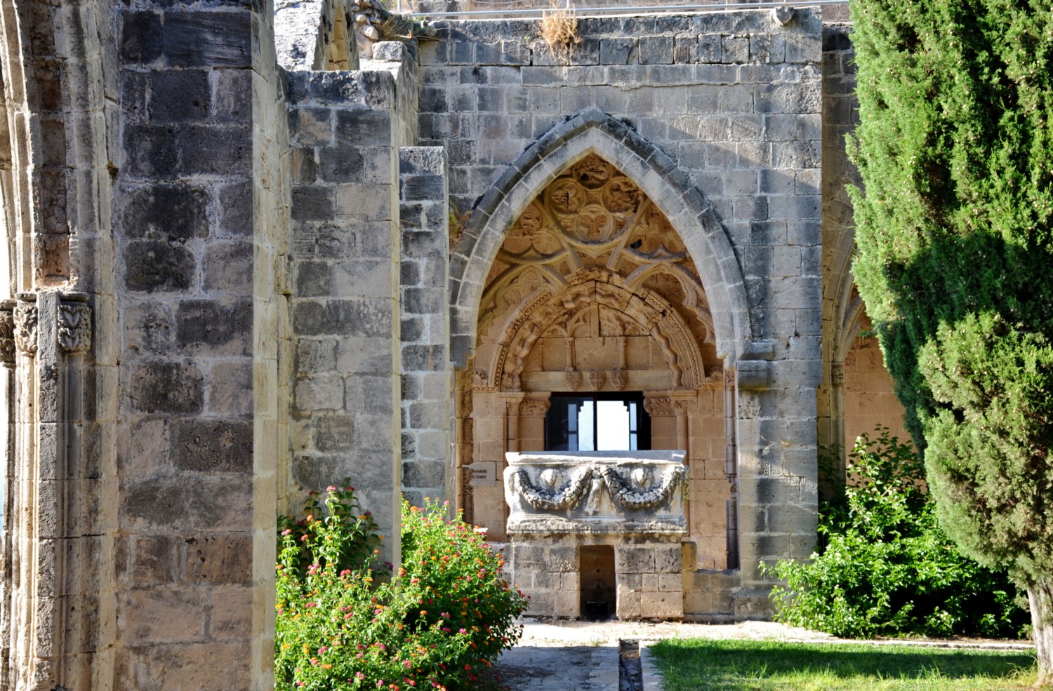 Bellapais cosa sono gli alberi dell'ozio