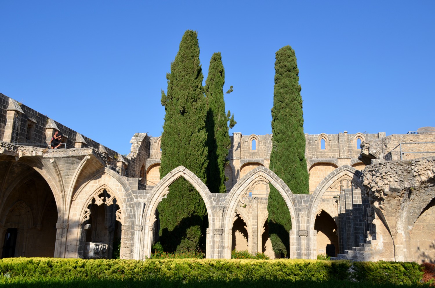 Bellapais cosa sono gli alberi dell'ozio