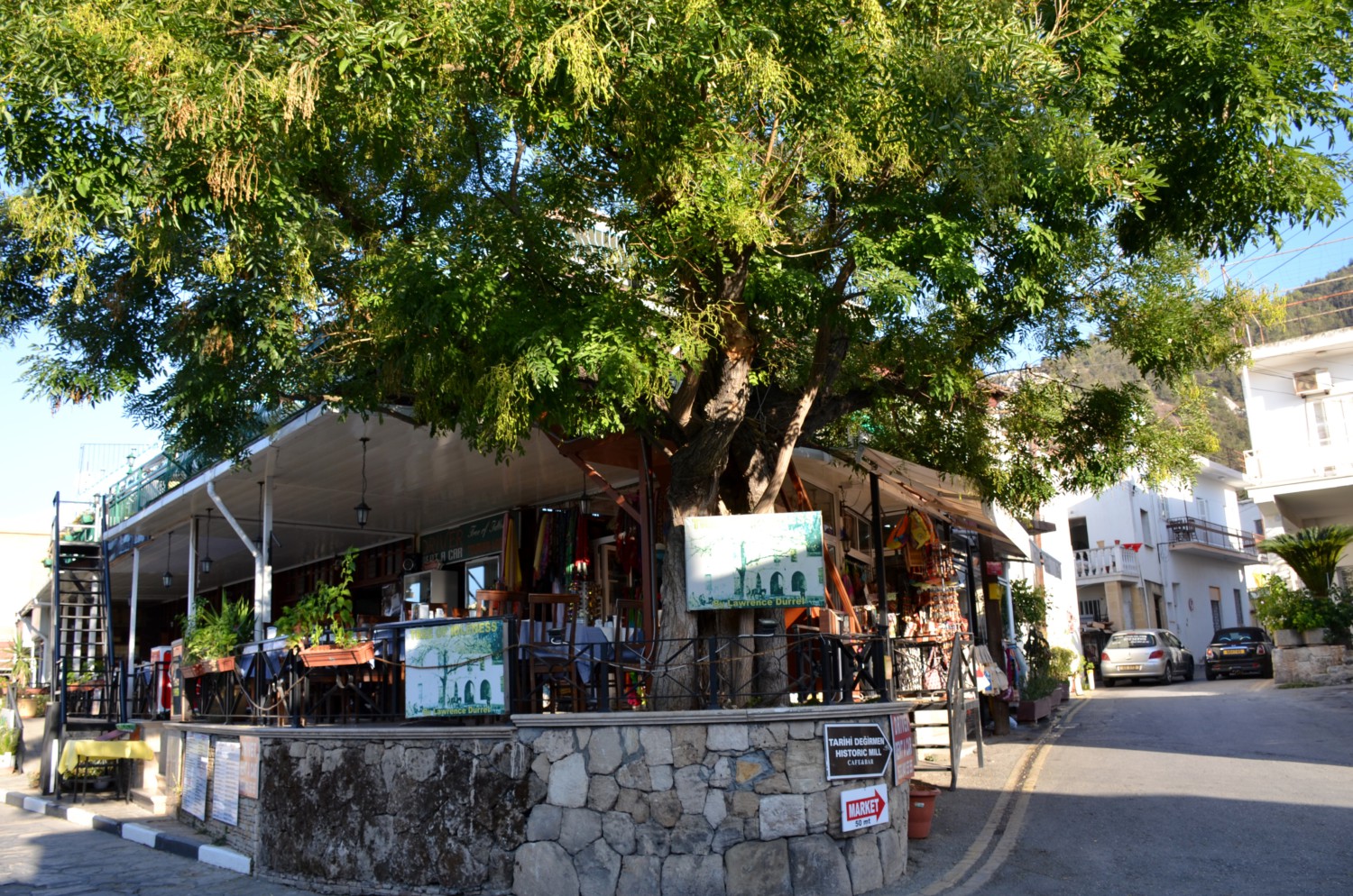 bellapais cosa sono gli alberi dell'ozio