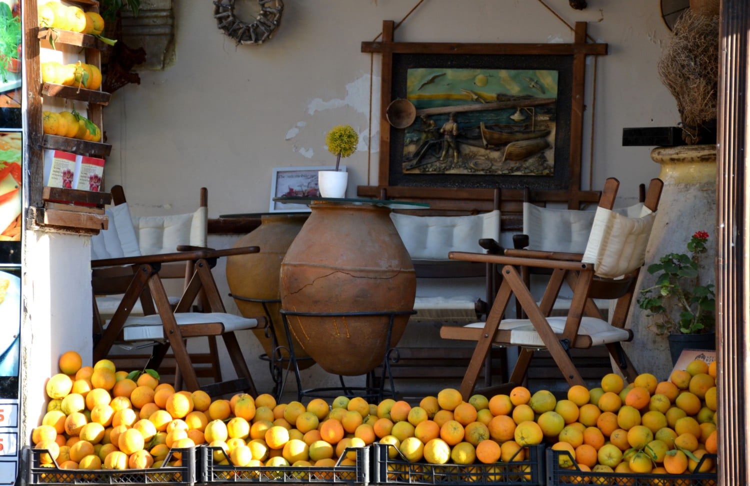 bellapais cosa sono gli alberi dell'ozio