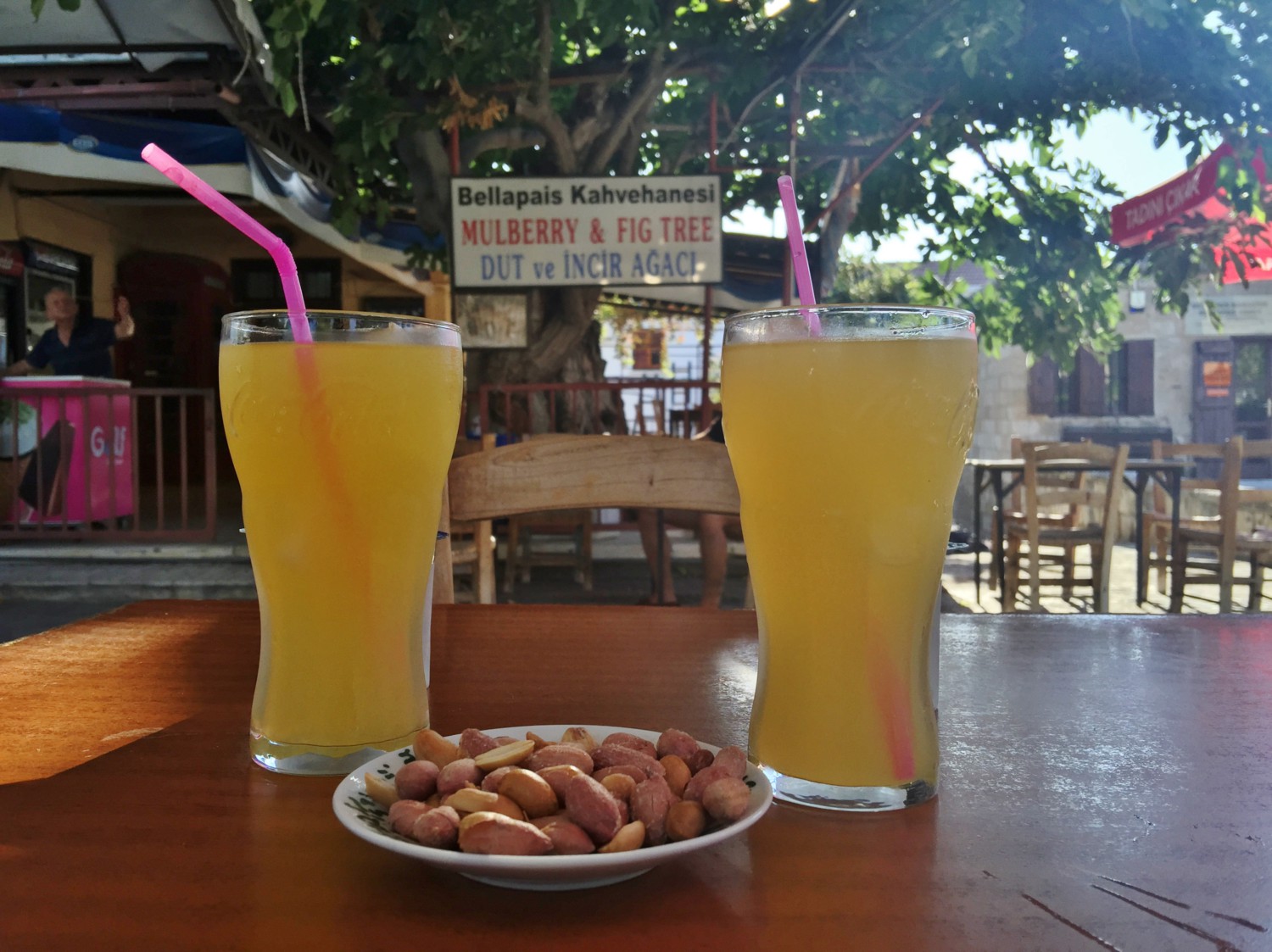 bellapais cosa sono gli alberi dell'ozio