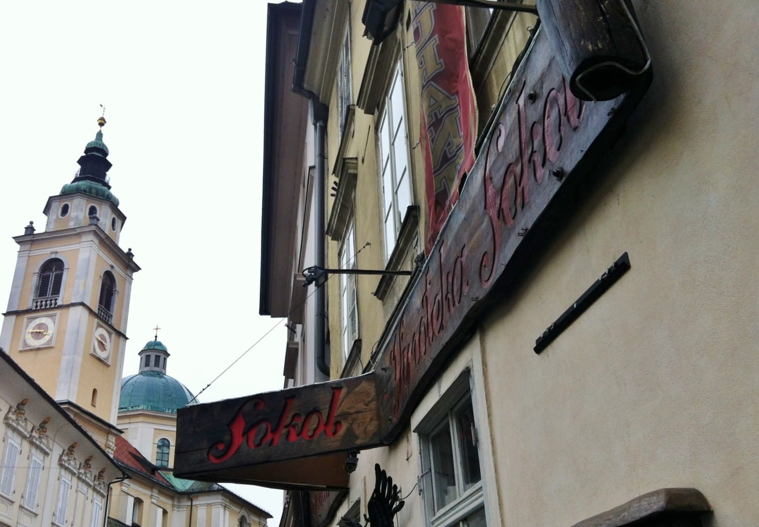 sokol dove mangiare a lubiana