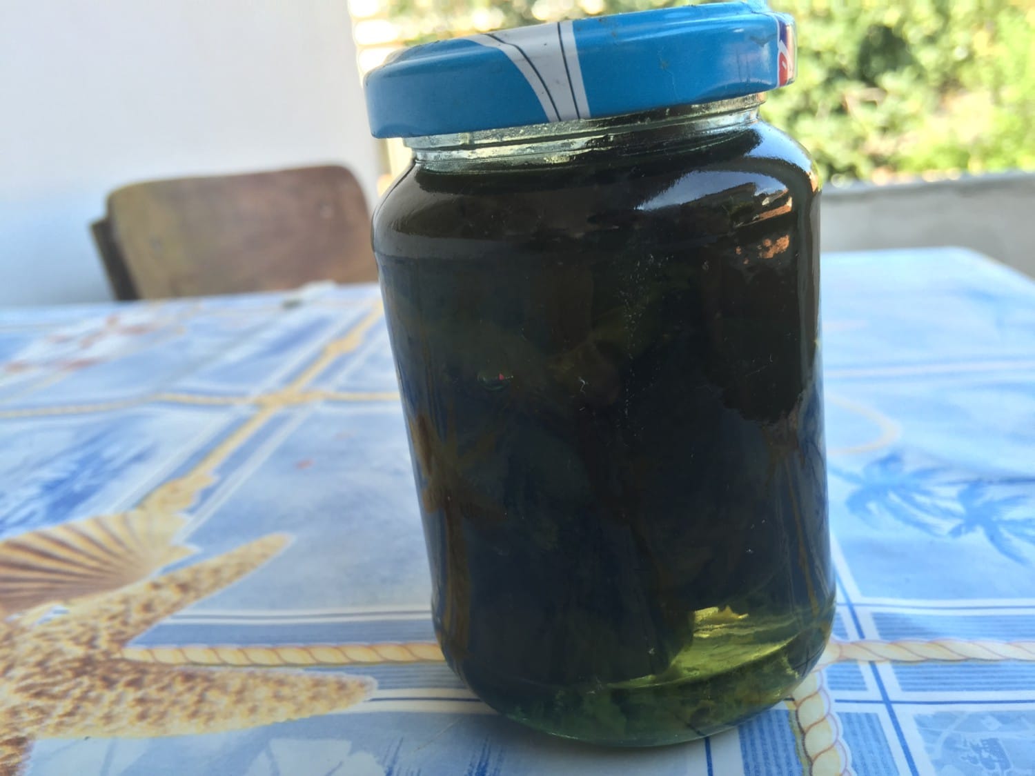 mar nero bulgaria mar nero bulgaria