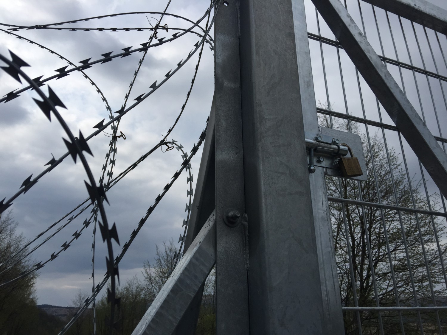 mostra the jungle mostra the jungle