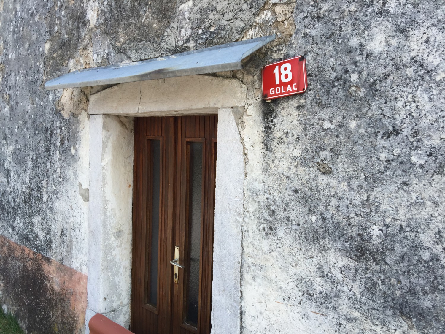 mostra the jungle mostra the jungle