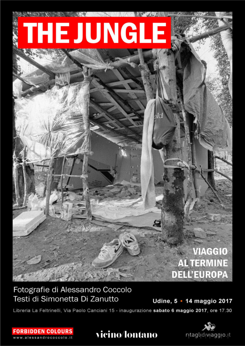 the jungle mostra the jungle mostra