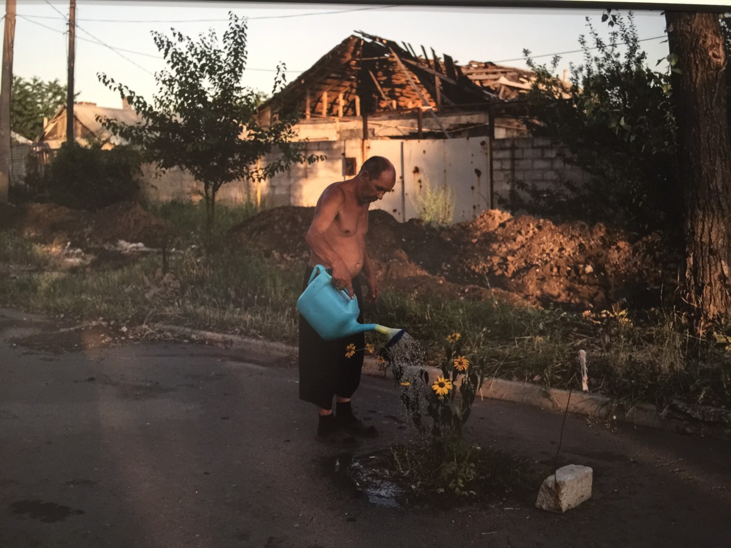 world press photo 2017 world press photo 2017