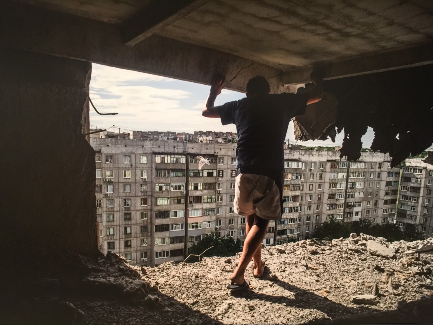 world press photo 2017 world press photo 2017