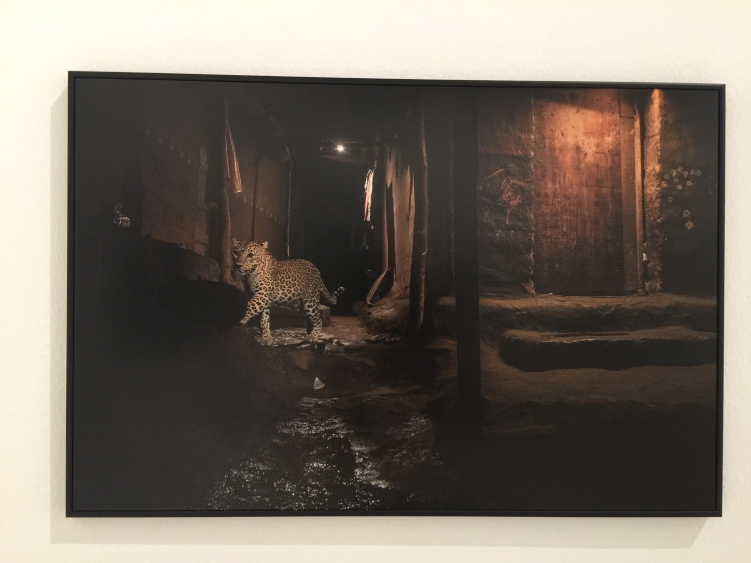 world press photo 2017 world press photo 2017