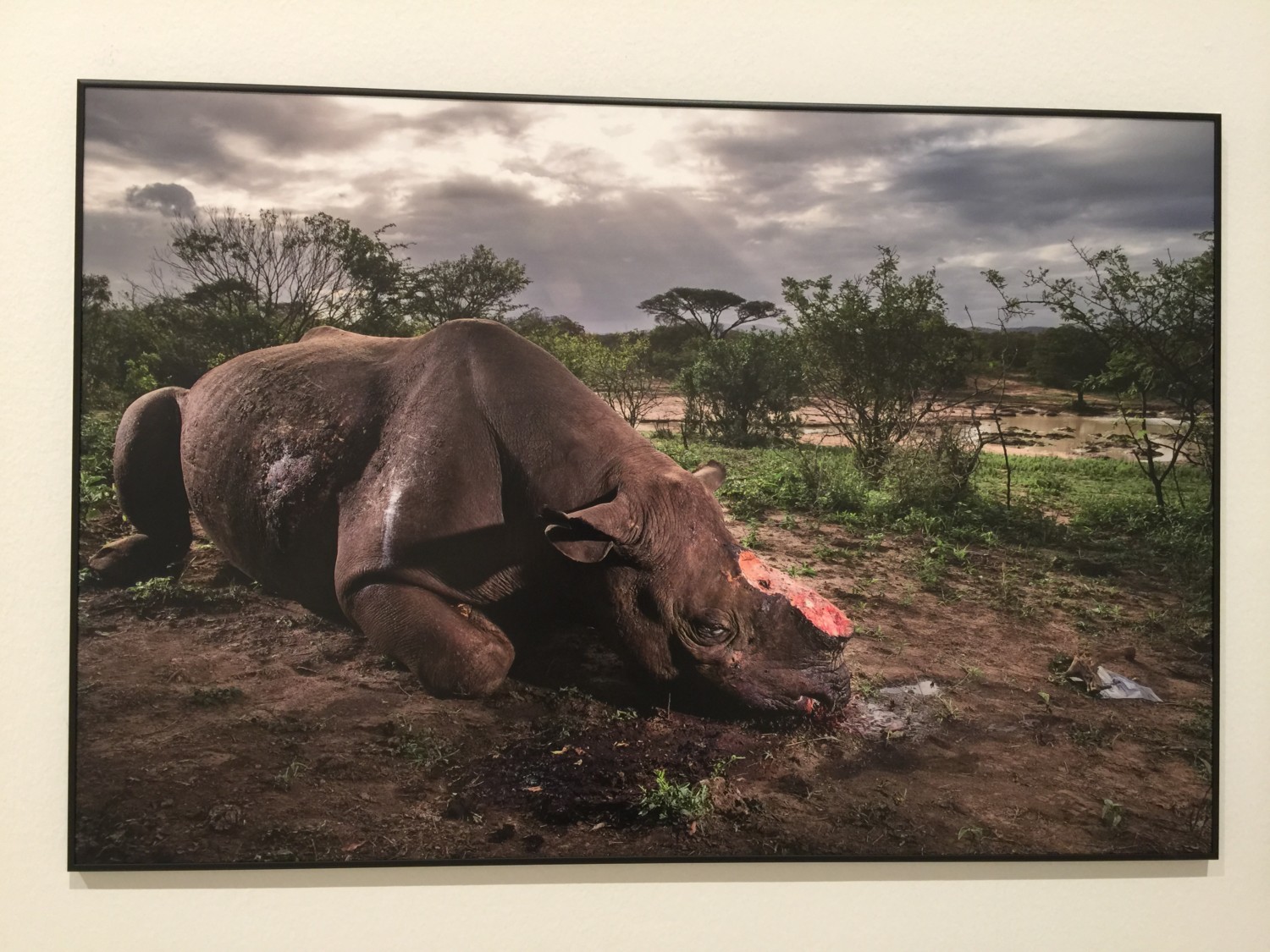 world press photo 2017 world press photo 2017