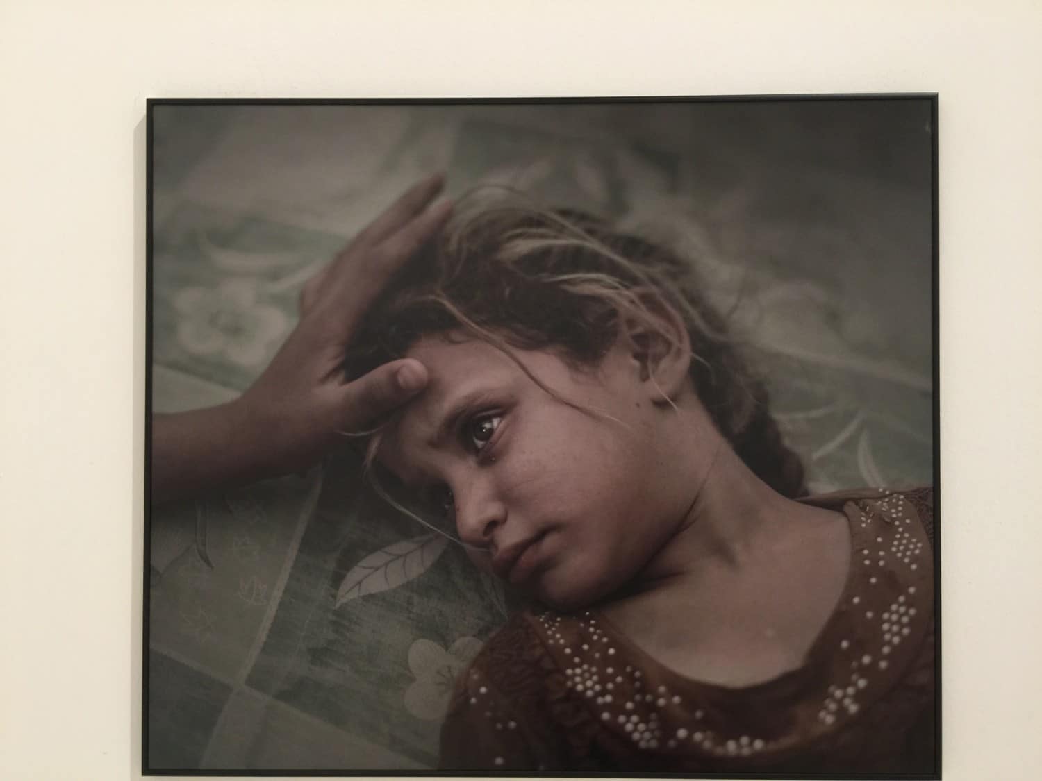 world press photo 2017 world press photo 2017