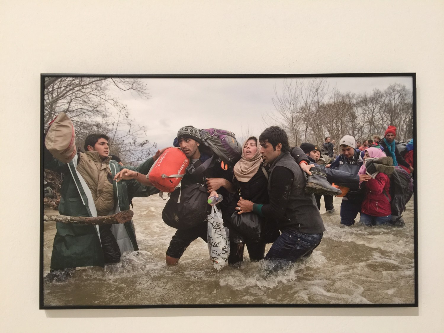 wrold press photo 2017 wrold press photo 2017