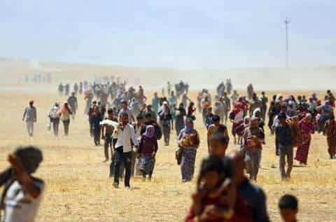 premio luchetta 2017 premio luchetta 2017