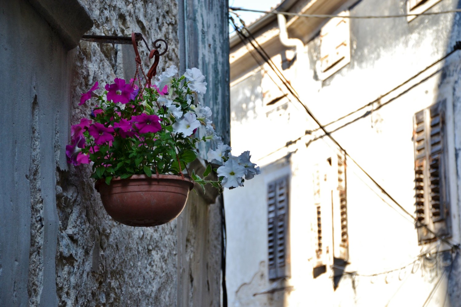 cosa vedere in istria cosa vedere in istria