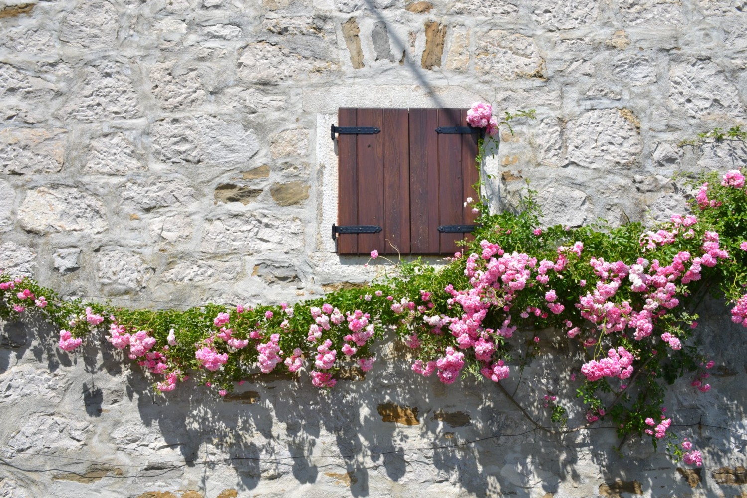 cosa vedere in istria cosa vedere in istria