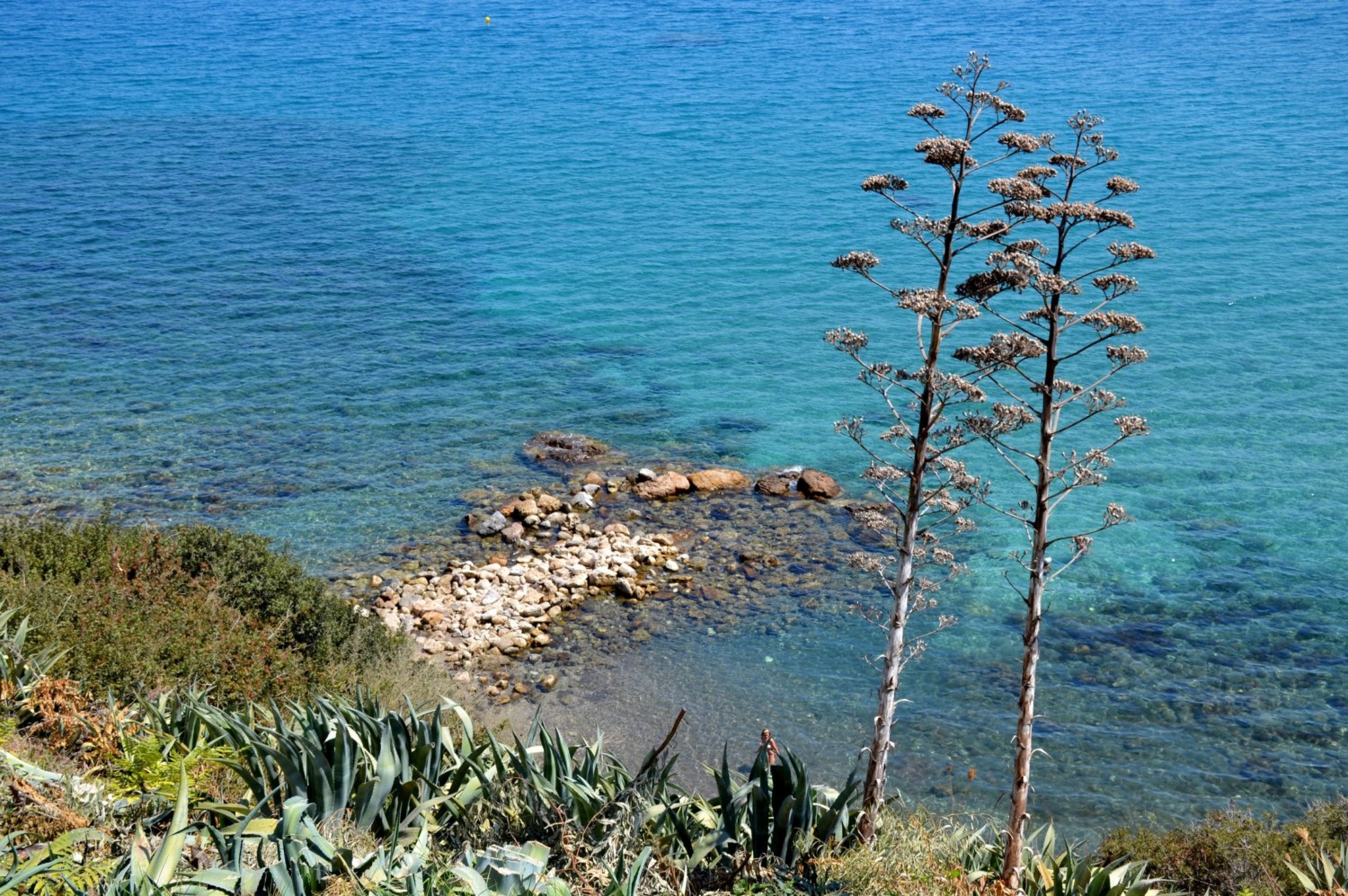 cipro spiagge cipro spiagge