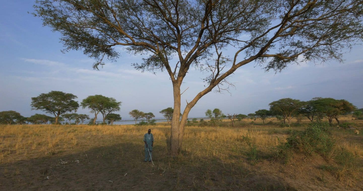 detour festival cinema viaggio detour festival cinema viaggio