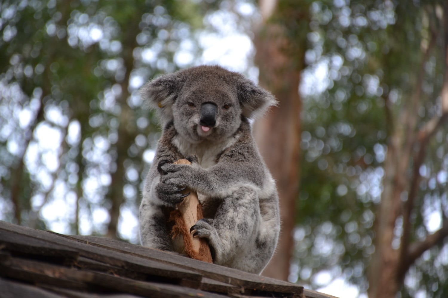 100 cose da fare prima di morire 100 cose da fare prima di morire