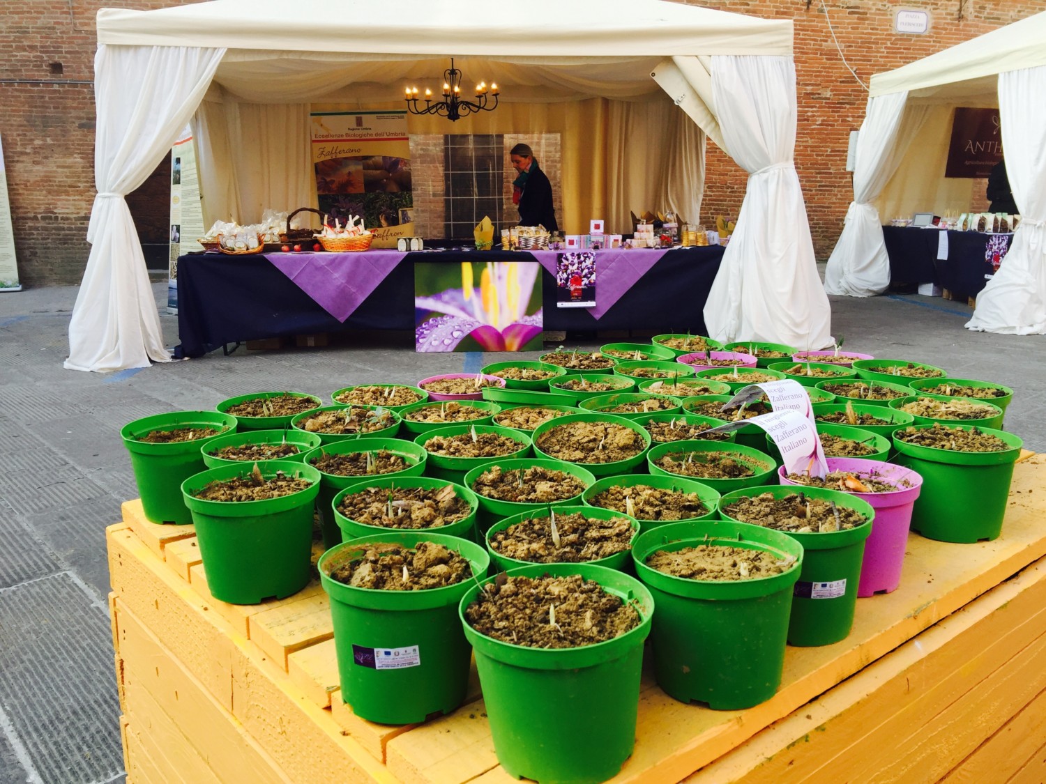 città della pieve cose da vedere città della pieve cose da vedere