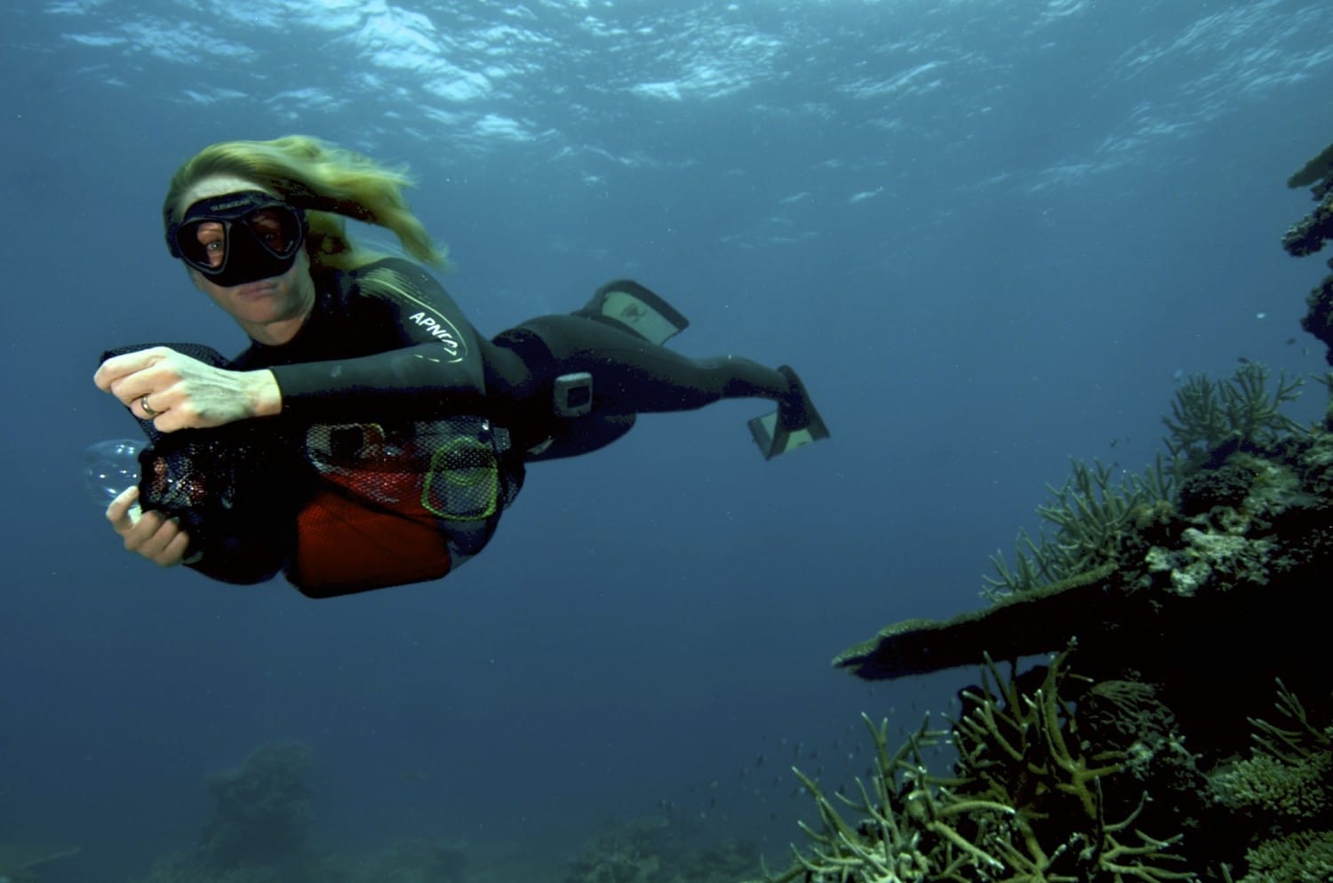 Detour 2017 Detour 2017