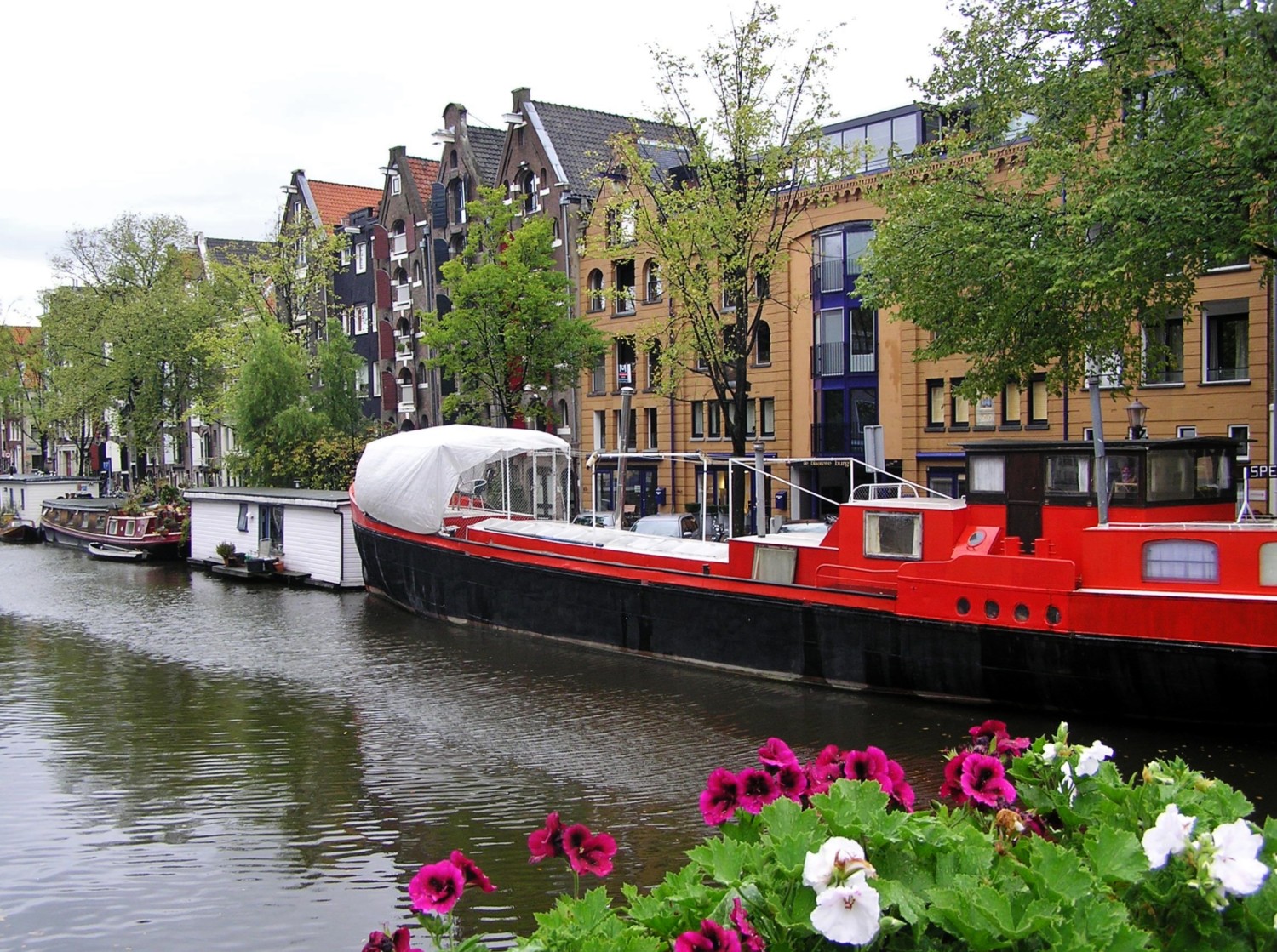 amsterdam cosa vedere amsterdam cosa vedere