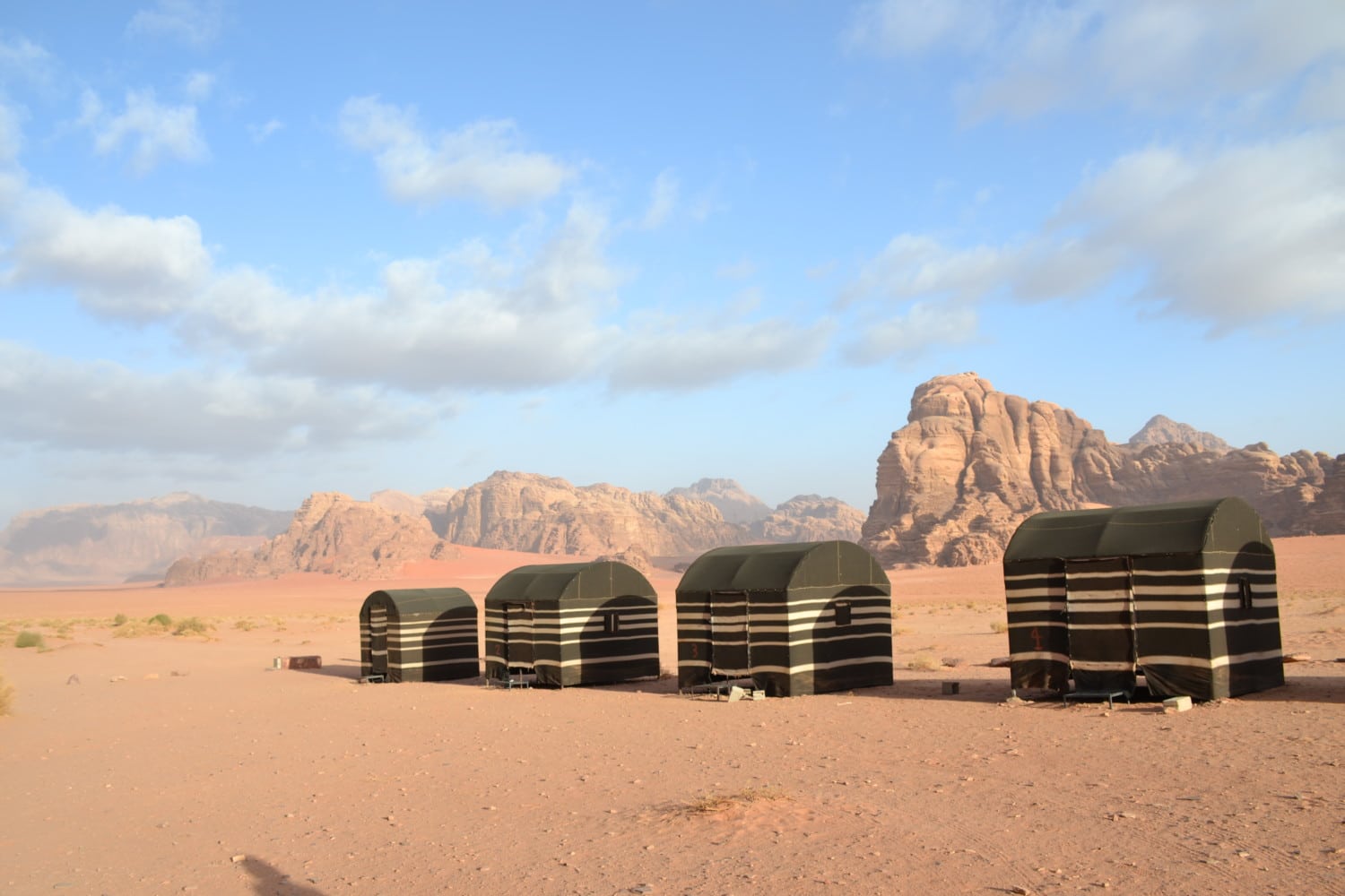 giordania in 8 giorni giordania in 8 giorni