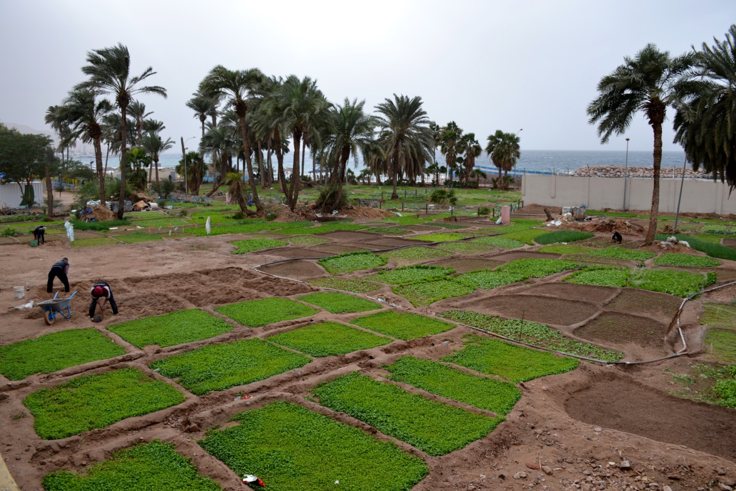 giordania in 8 giorni giordania in 8 giorni