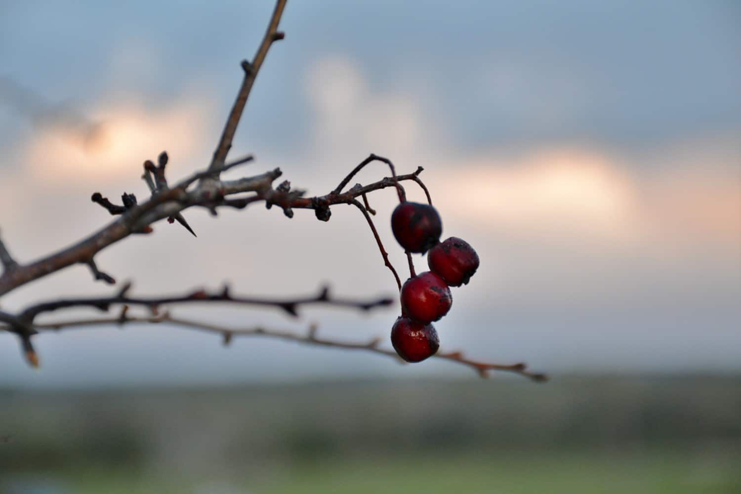 tradizioni Salento tradizioni Salento