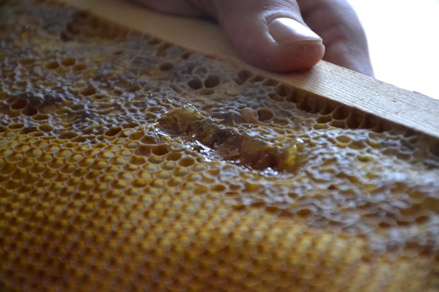 tradizioni Salento tradizioni Salento