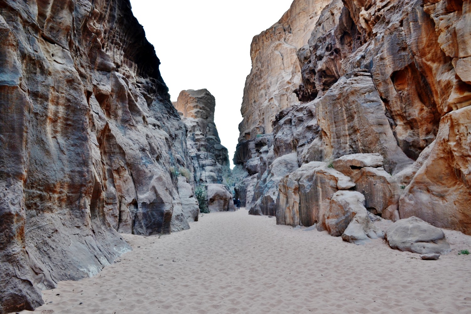 wadi rum deserto della giordania wadi rum deserto della giordania