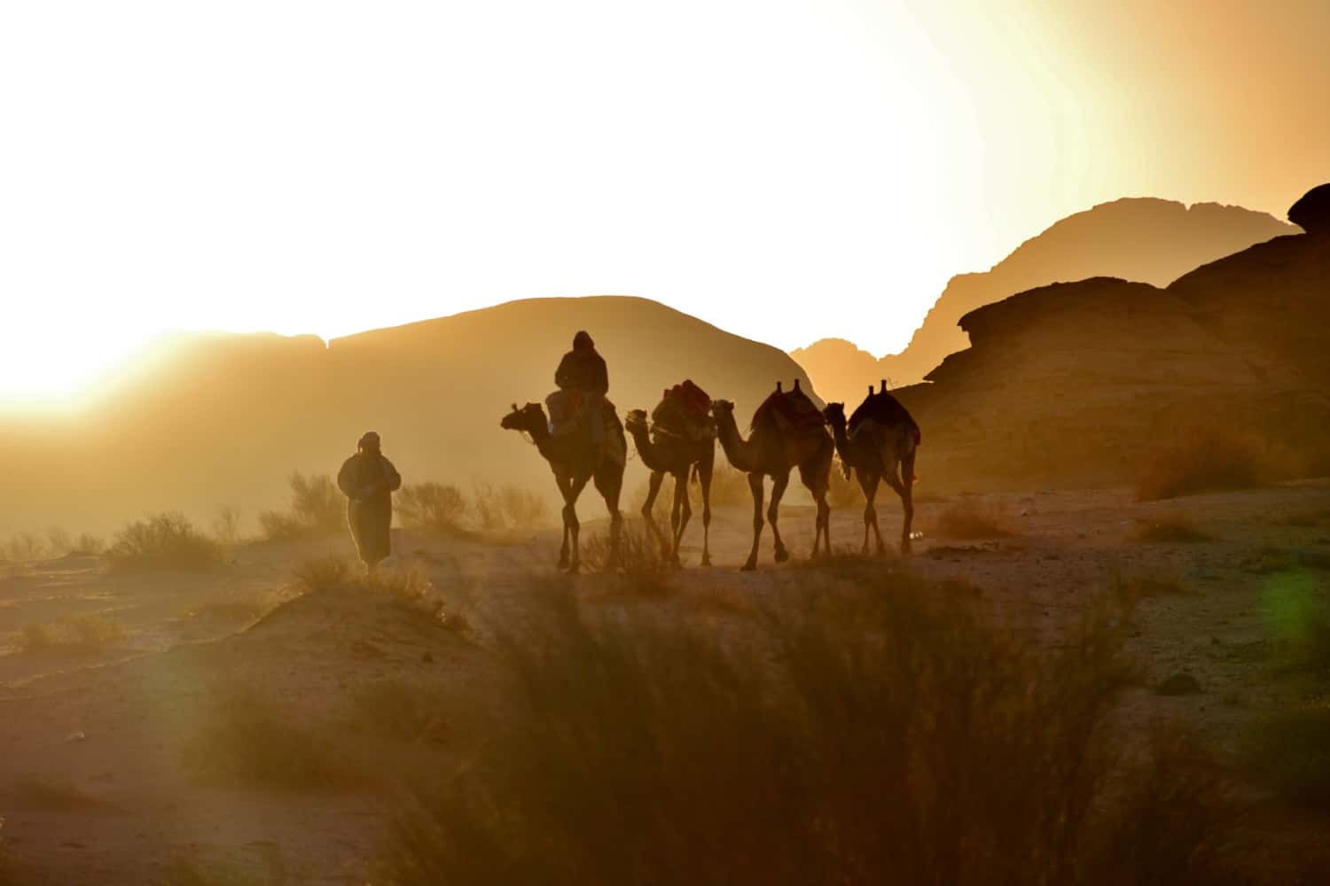 wadi rum deserto della giordania