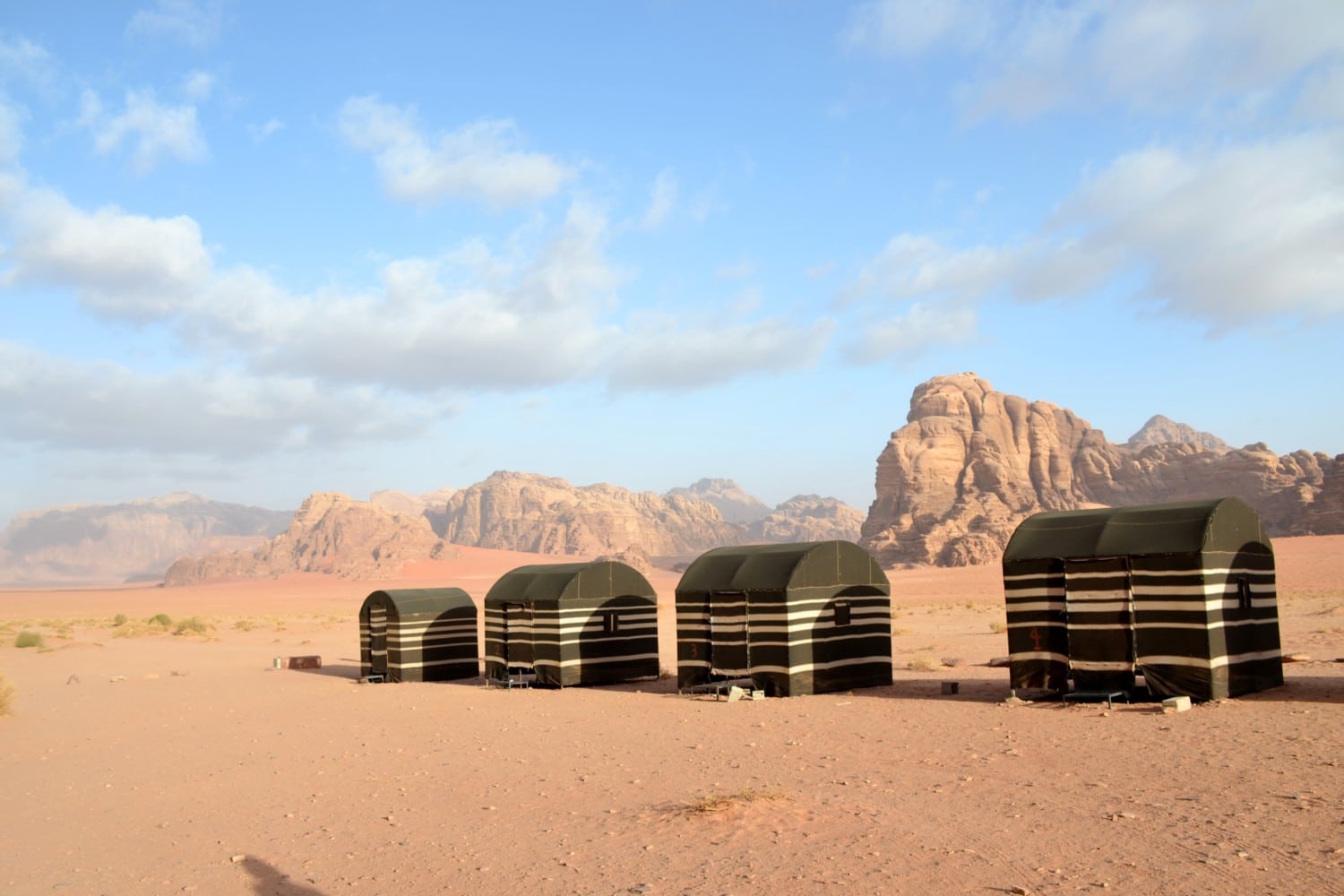 wadi rum deserto della giordania wadi rum deserto della giordania
