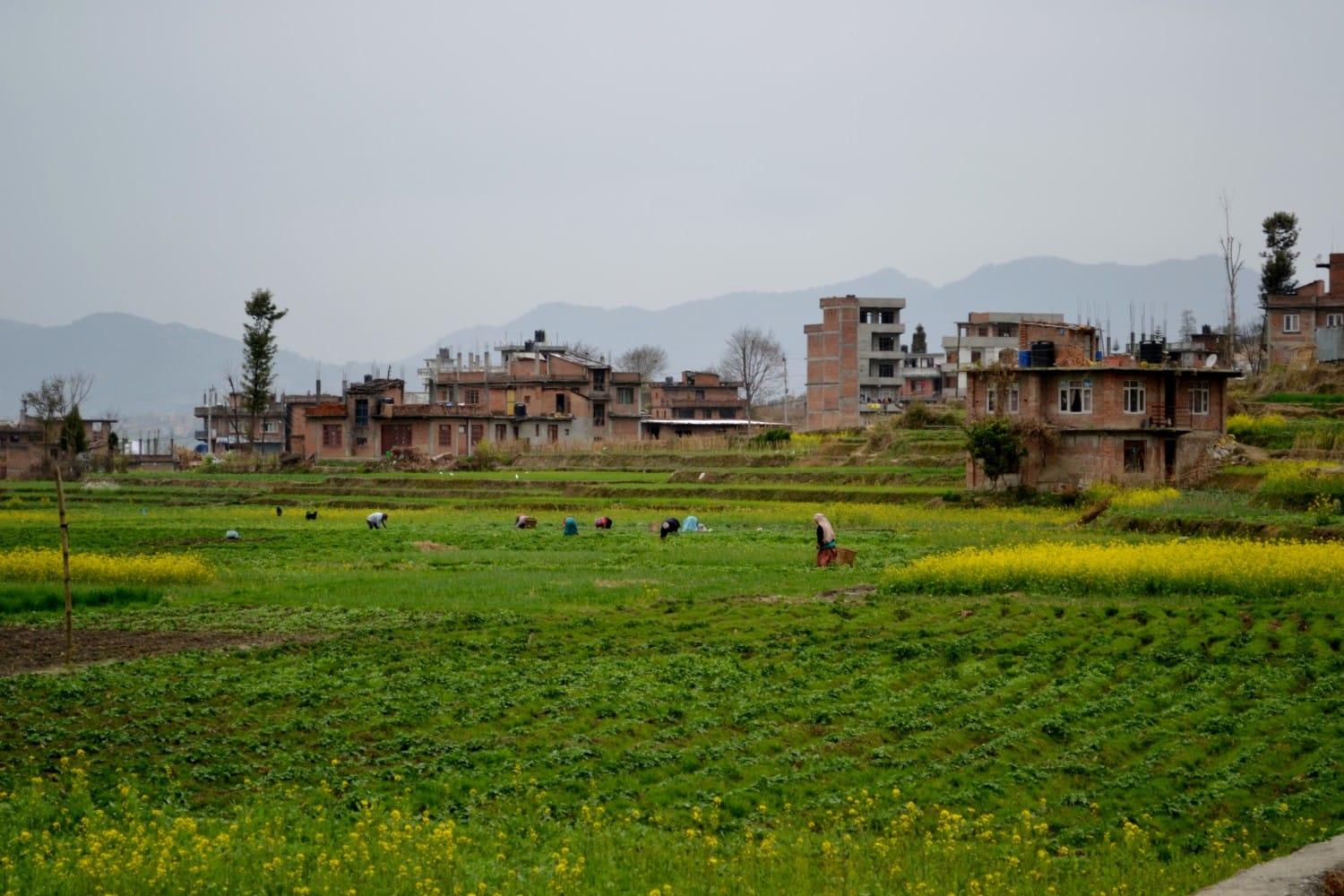 nepal kathamandu nepal kathamandu