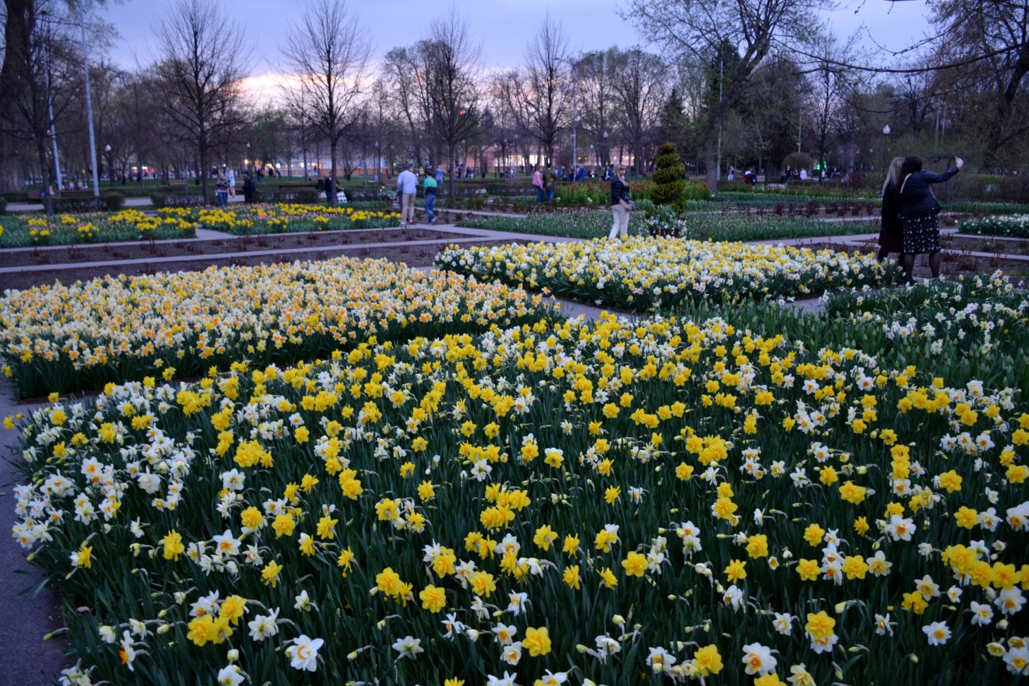 cosa vedere a mosca cosa vedere a mosca