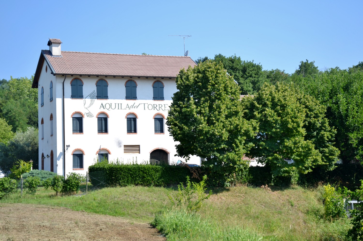 wine tour friuli musement wine tour friuli musement