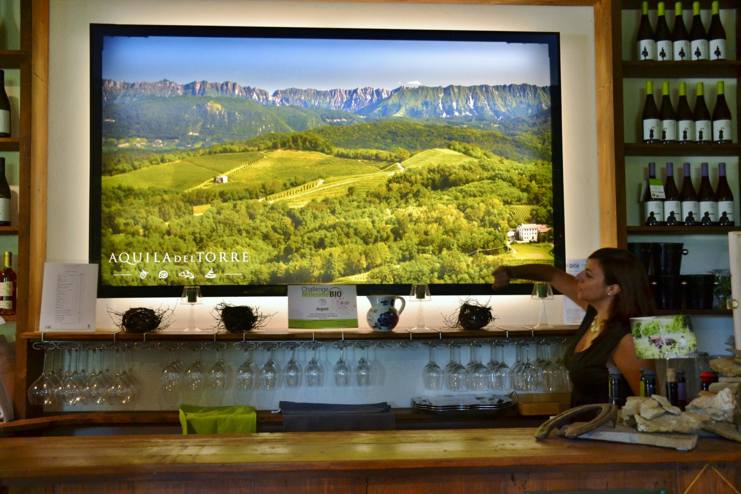 wine tour friuli musement wine tour friuli musement