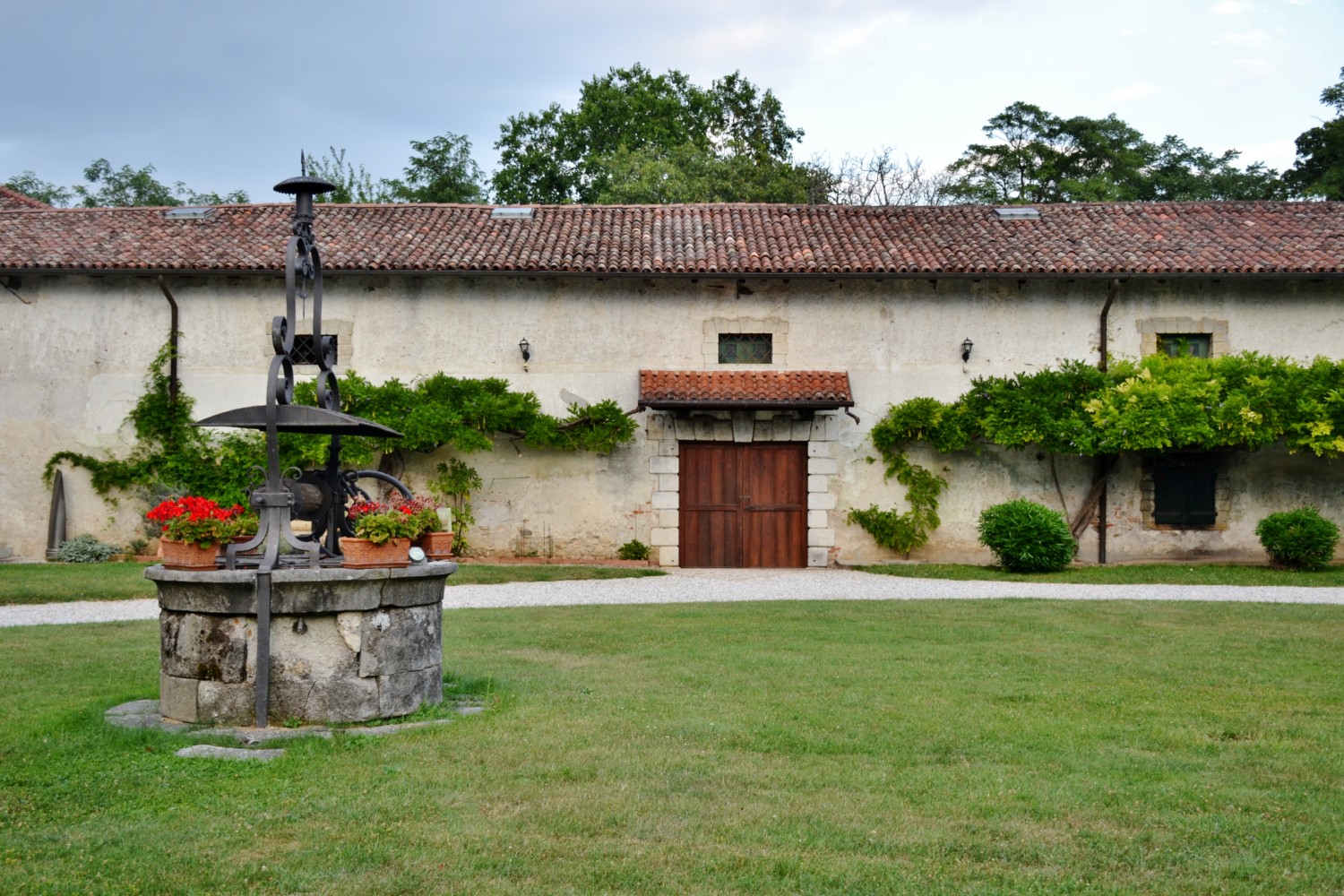 wine tour friuli musement wine tour friuli musement