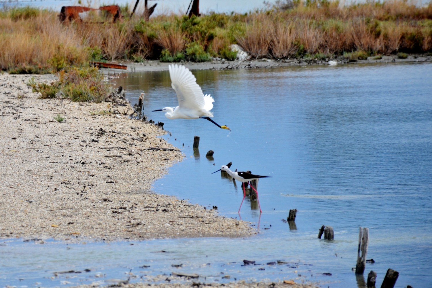 cosa vedere a corfu cosa vedere a corfu