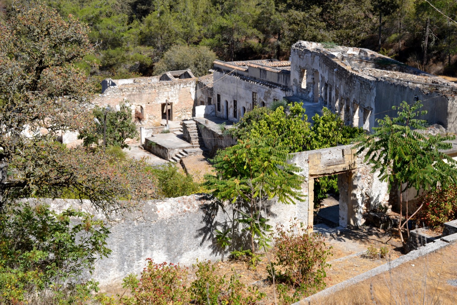 cosa vedere a cipro cosa vedere a cipro