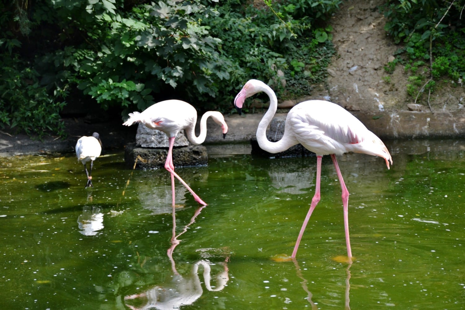 due giorni in germania due giorni in germania