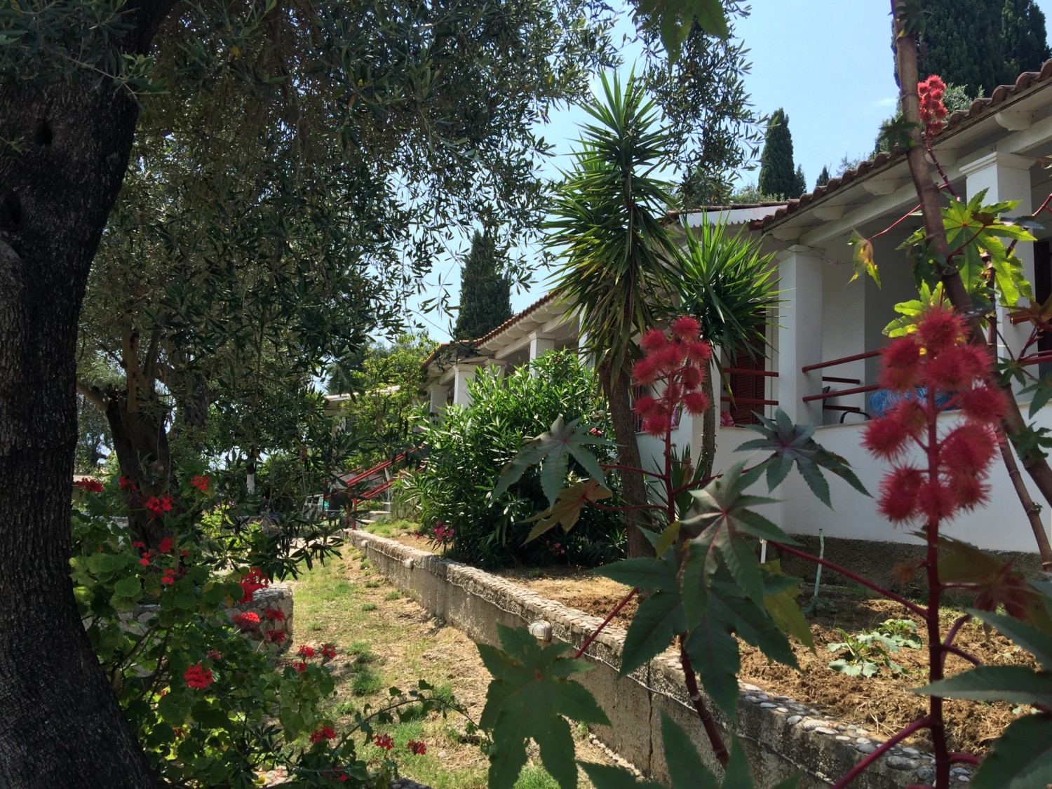 cosa vedere a corfu cosa vedere a corfu