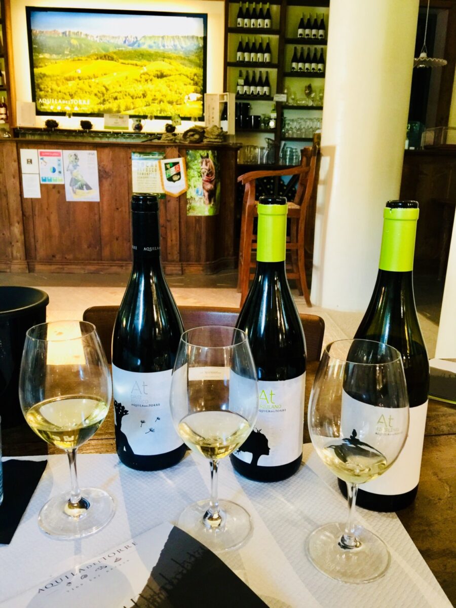 wine tour friuli musement wine tour friuli musement