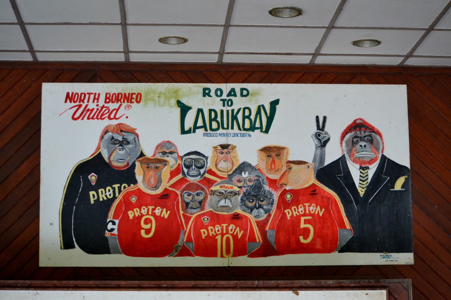 borneo scimmie proboscide borneo scimmie proboscide